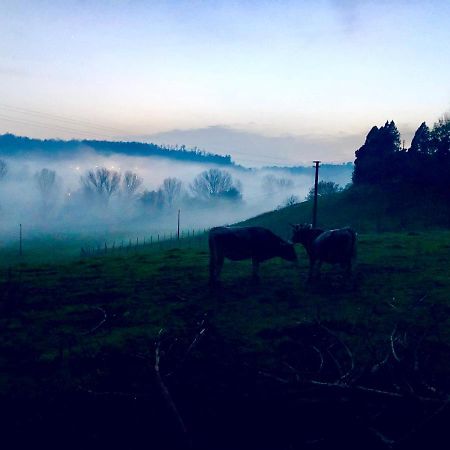 Вилла Fattoria Lucciano Borghetto  Экстерьер фото