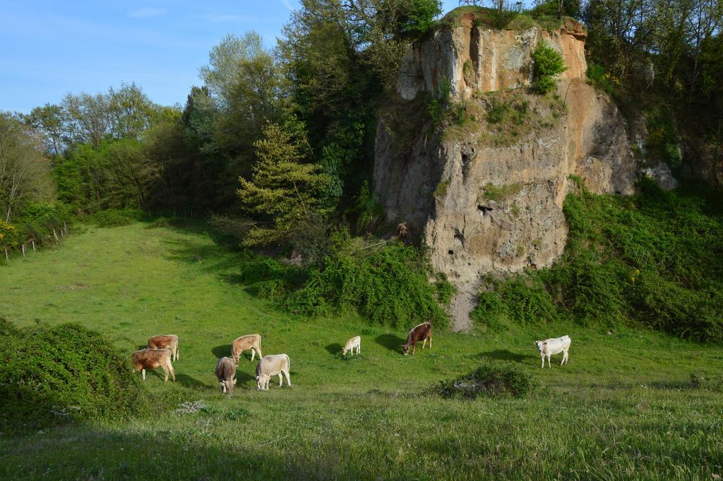 Вилла Fattoria Lucciano Borghetto  Экстерьер фото