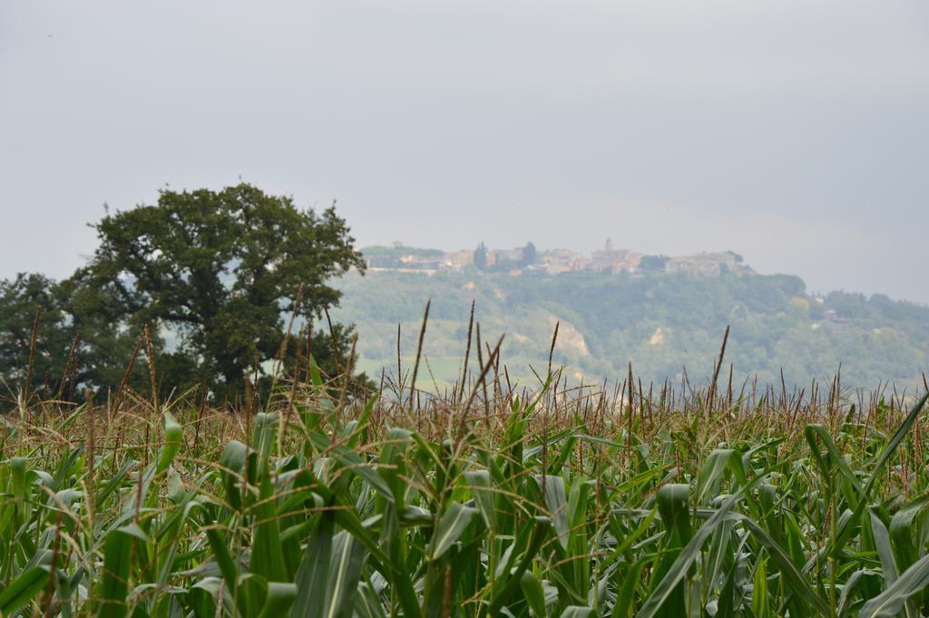 Вилла Fattoria Lucciano Borghetto  Экстерьер фото