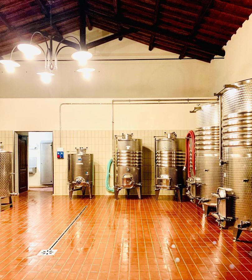 Вилла Fattoria Lucciano Borghetto  Экстерьер фото
